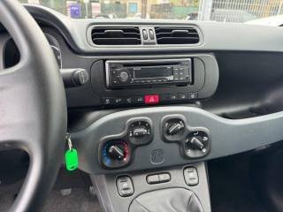 FIAT Panda usata, con Fendinebbia