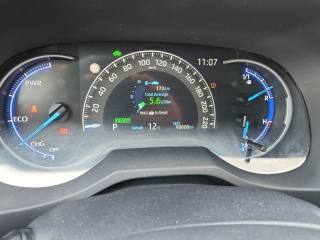 TOYOTA RAV 4 usata, con Fendinebbia