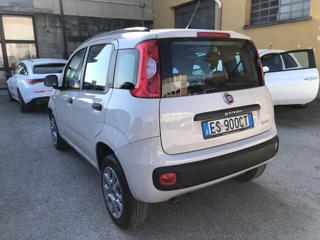 FIAT Panda usata, con Immobilizzatore elettronico