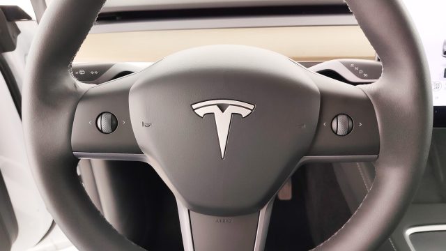 TESLA Model Y usata 53