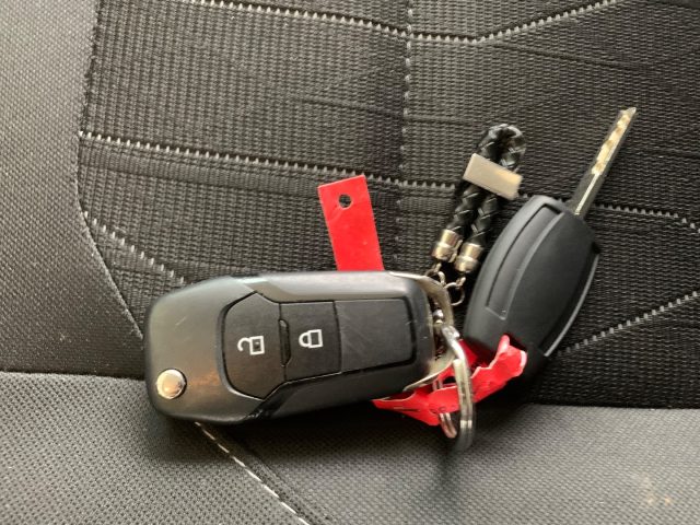 FORD EcoSport usata, con Controllo vocale