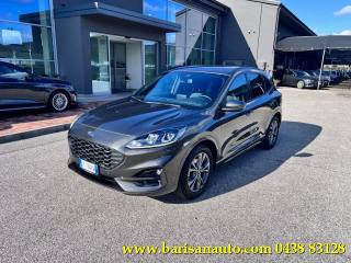 FORD Kuga 2.0 EcoBlue 120 CV aut. 2WD ST-Line