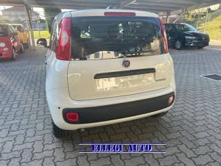 FIAT Panda usata, con Antifurto