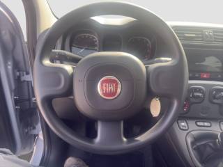 FIAT Panda usata 11