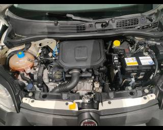 FIAT New Panda usata 22