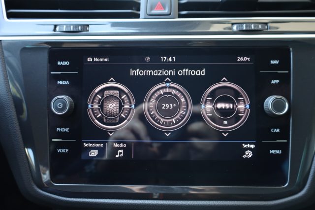 VOLKSWAGEN Tiguan usata, con Airbag testa