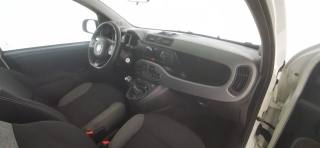 FIAT Panda usata 37