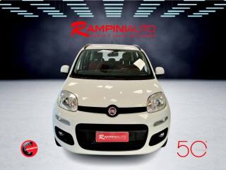 FIAT Panda usata 2