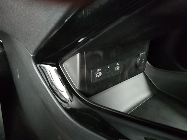 BYD Seal usata, con Servosterzo