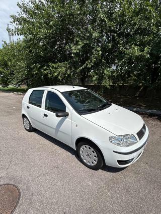 FIAT Punto usata, con Airbag Passeggero