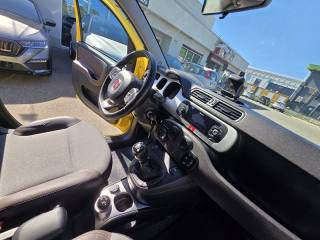 FIAT Panda usata, con Fendinebbia