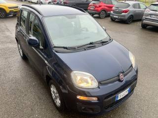 FIAT Panda usata, con Alzacristalli elettrici