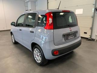 FIAT Panda usata, con Alzacristalli elettrici