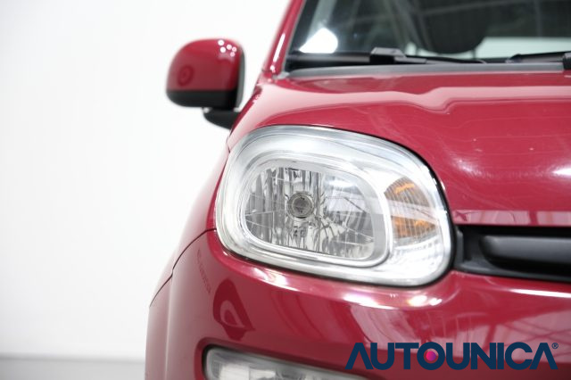 FIAT Panda usata 12