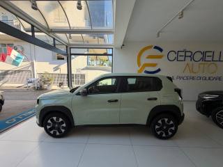 FIAT Grande Panda usata, con Cronologia tagliandi