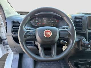 FIAT Ducato usata 9