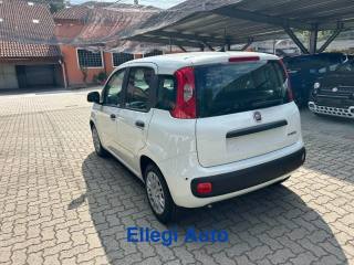 FIAT Panda usata, con Cruise Control