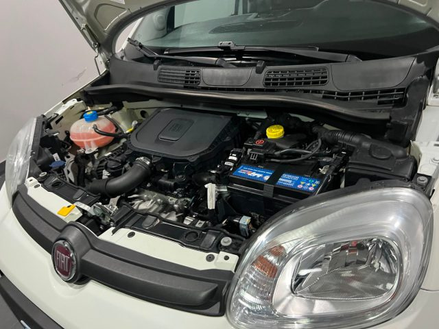 FIAT Panda usata, con Cronologia tagliandi