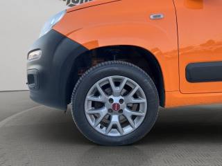 FIAT Panda usata 17