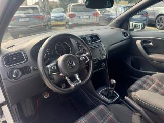 VOLKSWAGEN Polo usata, con Fendinebbia