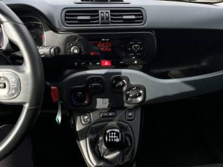 FIAT Panda usata 12
