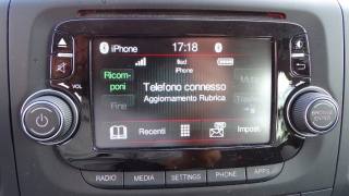 FIAT 500L usata 96