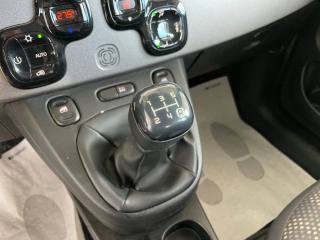 FIAT Panda usata 28