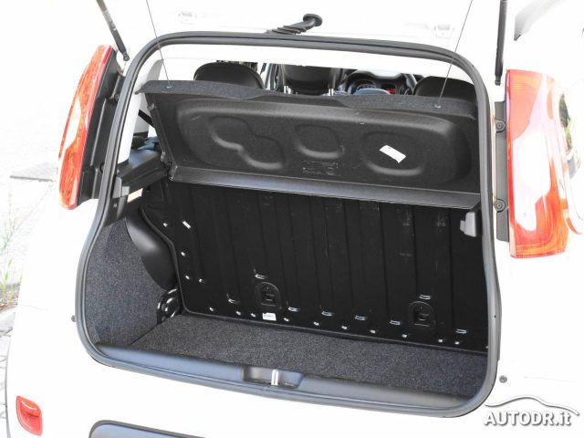 FIAT Panda usata 36