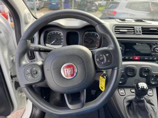 FIAT Panda usata, con Cerchi in lega