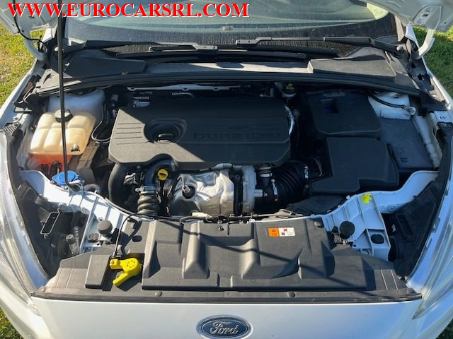 FORD Focus usata 24