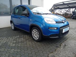 FIAT Panda usata, con Airbag Passeggero