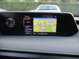 LEXUS UX 250h usata, con ESP