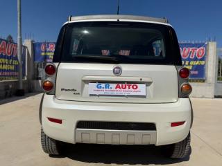 FIAT Panda usata, con Controllo automatico clima