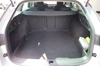 SKODA Octavia usata 115