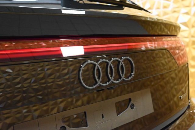 AUDI Q8 usata 23