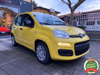 FIAT Panda usata, con Airbag Passeggero