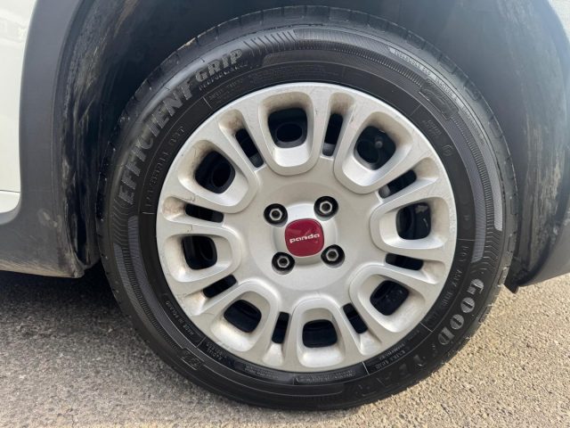 FIAT Panda usata 18