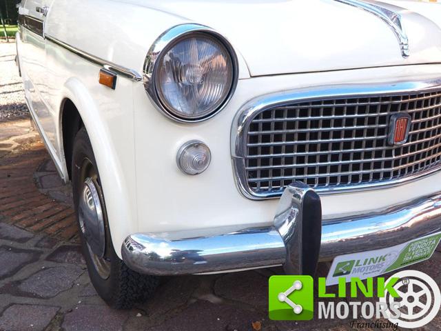 FIAT 1100 usata 9
