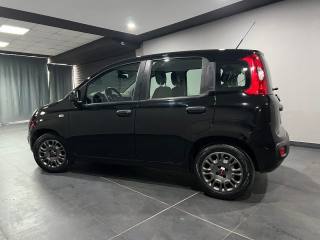 FIAT Panda usata, con Airbag laterali