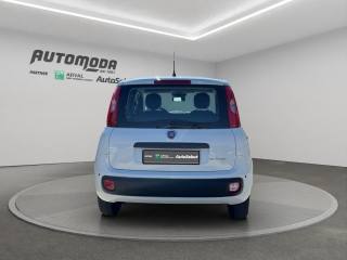 FIAT Panda usata, con Antifurto