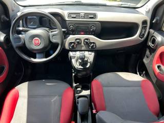 FIAT Panda usata, con Climatizzatore