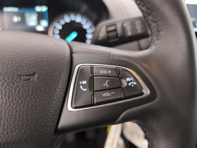 FORD EcoSport usata, con Servosterzo