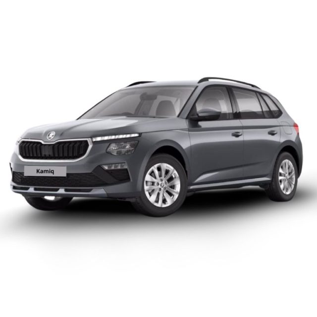 SKODA Kamiq usata, con ABS