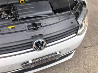 VOLKSWAGEN Polo usata 23