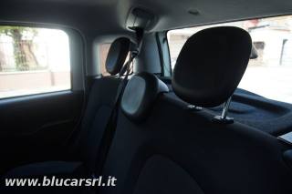 FIAT Panda usata, con Immobilizzatore elettronico
