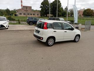 FIAT Panda usata, con Airbag testa