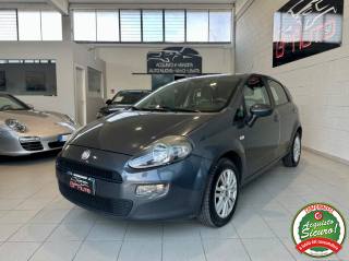 FIAT Punto 1.2 8V 5p. Pop *NEOPATENTATI*