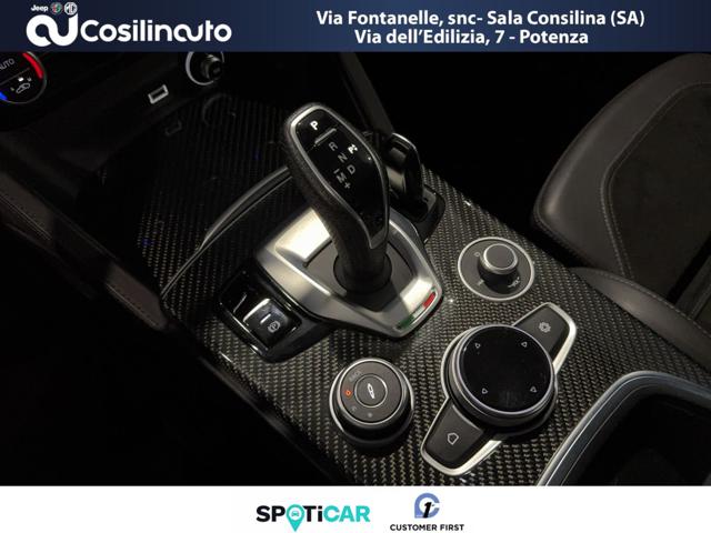 ALFA ROMEO Stelvio usata, con Vetri oscurati
