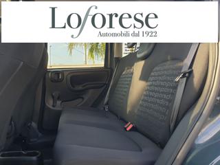 FIAT Pandina usata, con ESP