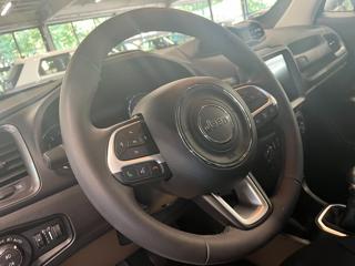 JEEP Renegade usata, con Cerchi in lega